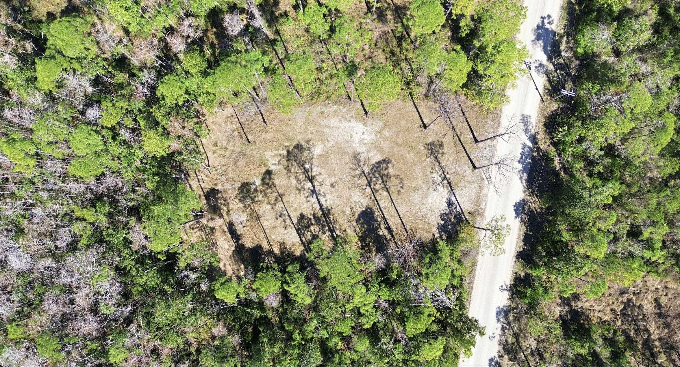 Tbd Jody Morgan Road Perry, FL 32348 - Photo 7 of 26