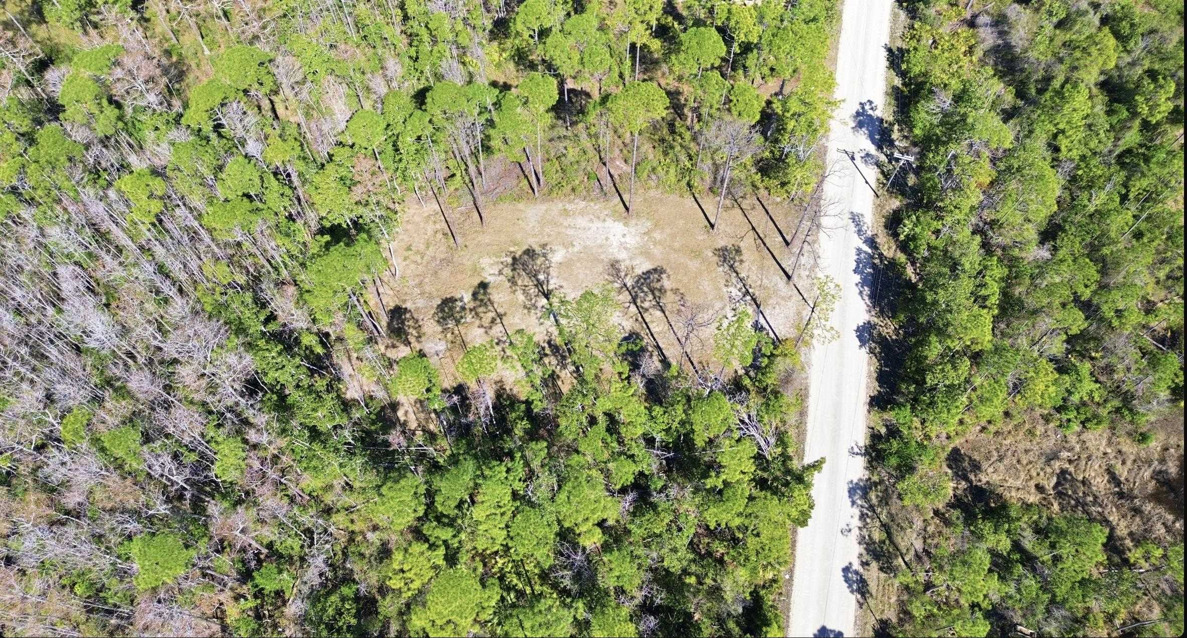 Tbd Jody Morgan Road Perry, FL 32348 - Photo 8 of 26