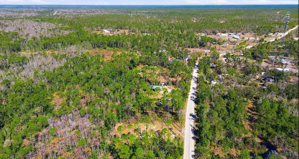 $49,500 | Tbd Jody Morgan Road, Perry, FL 32348