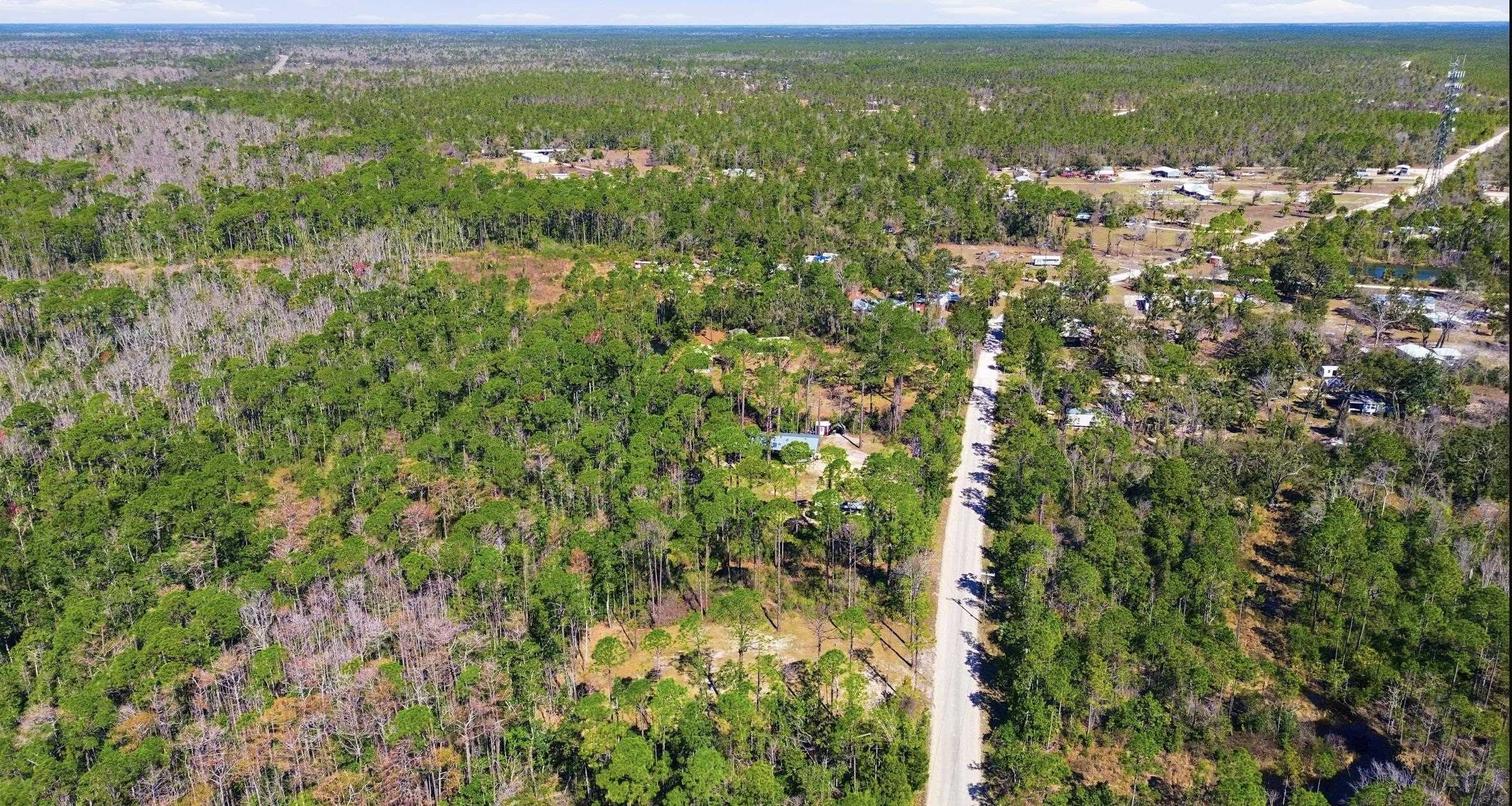 Tbd Jody Morgan Road Perry, FL 32348 - Photo 9 of 26