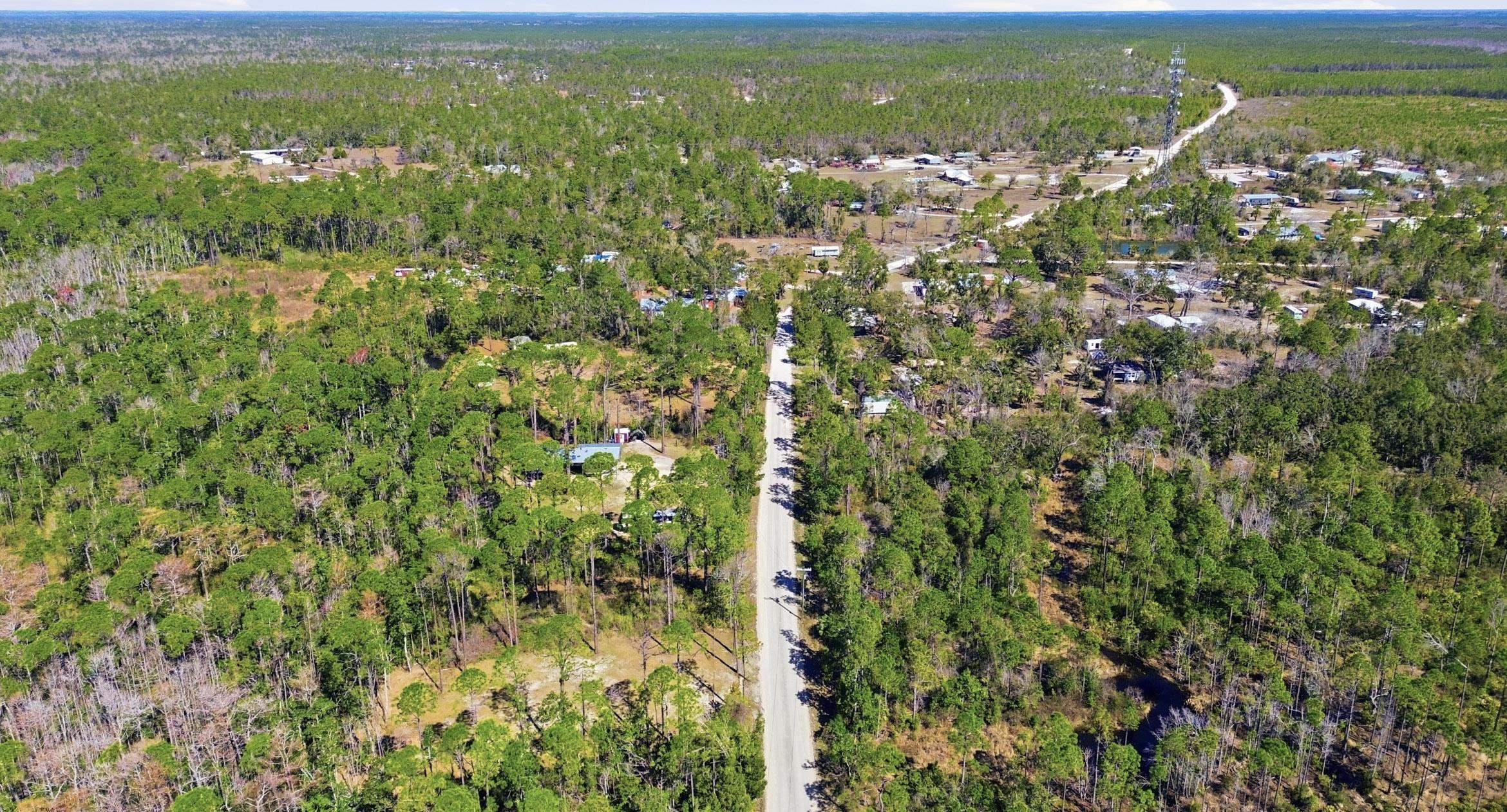 Tbd Jody Morgan Road Perry, FL 32348 - Photo 10 of 26