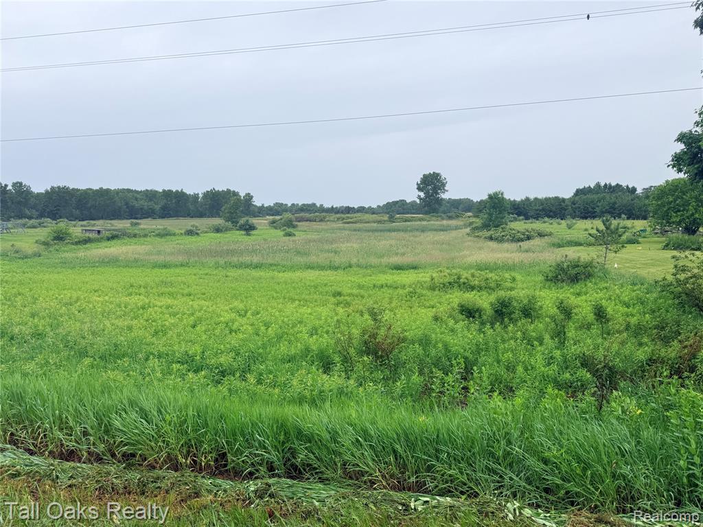 761 East Millington Road Mayville, MI 48744 - Photo 4 of 4