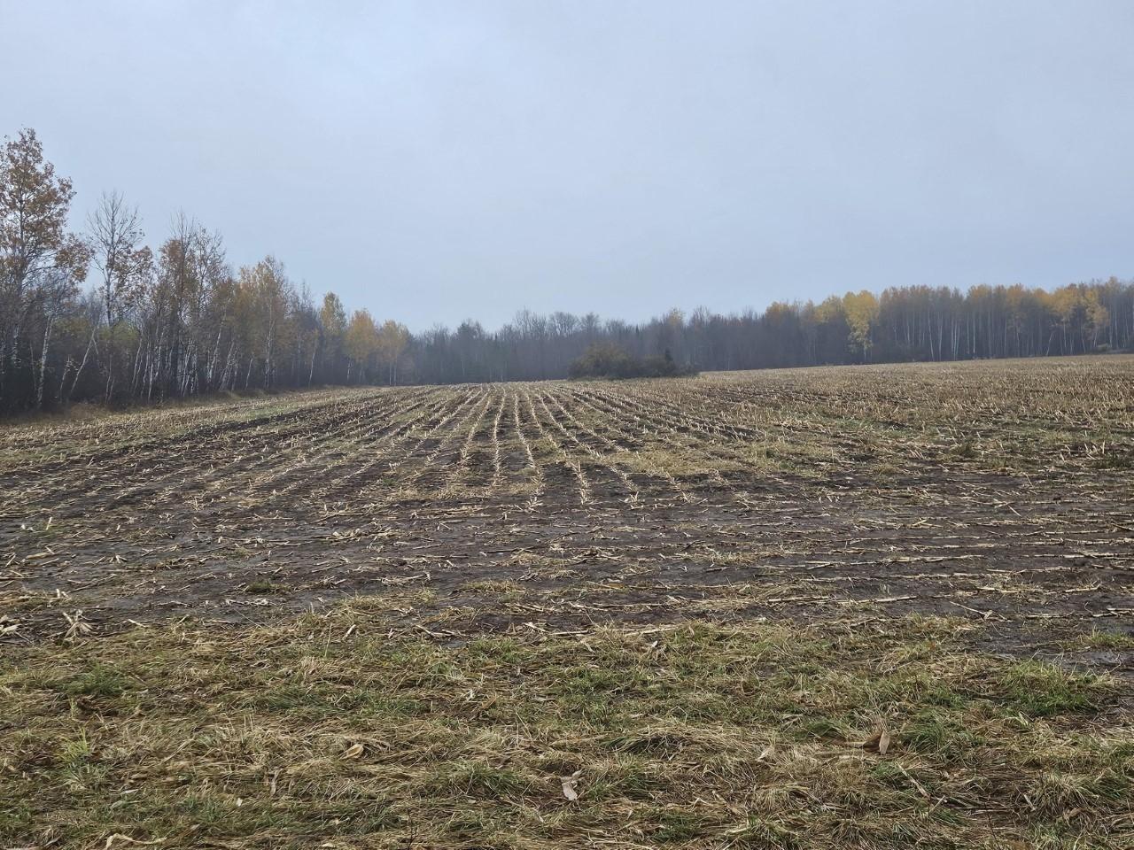 Off Larkin Road, Unit 40 ACRES Ogema, WI 54459 - Photo 6 of 8 Gallery Image 6