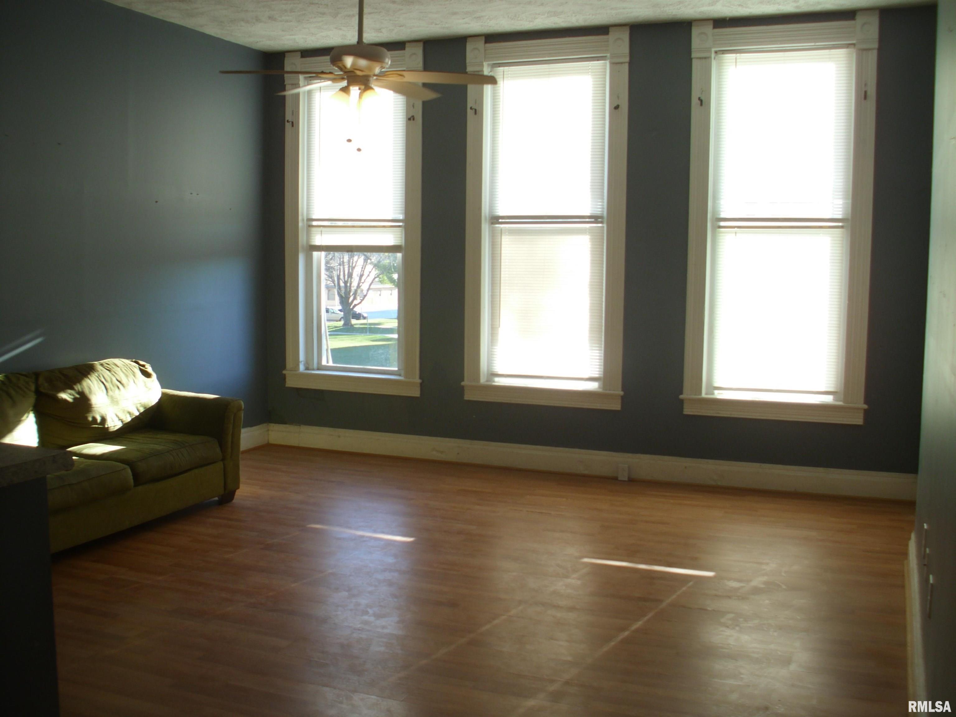 117 East Springfield Street Virginia, IL 62691 - Photo 2 of 39
