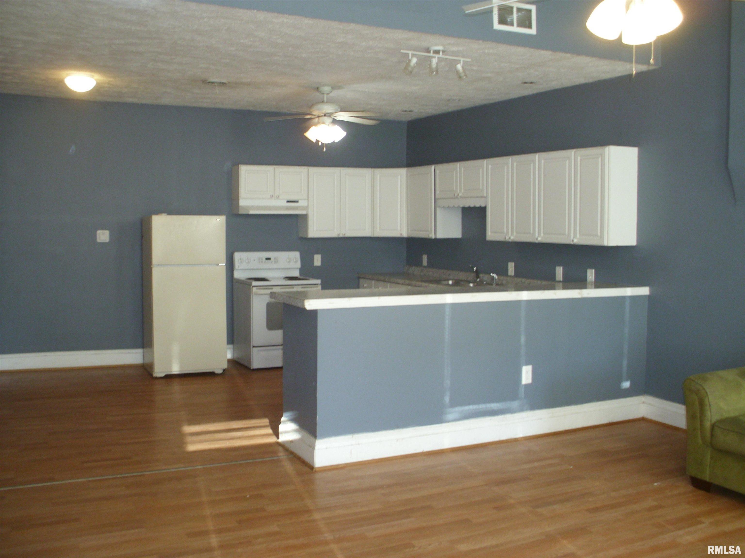 117 East Springfield Street Virginia, IL 62691 - Photo 4 of 39