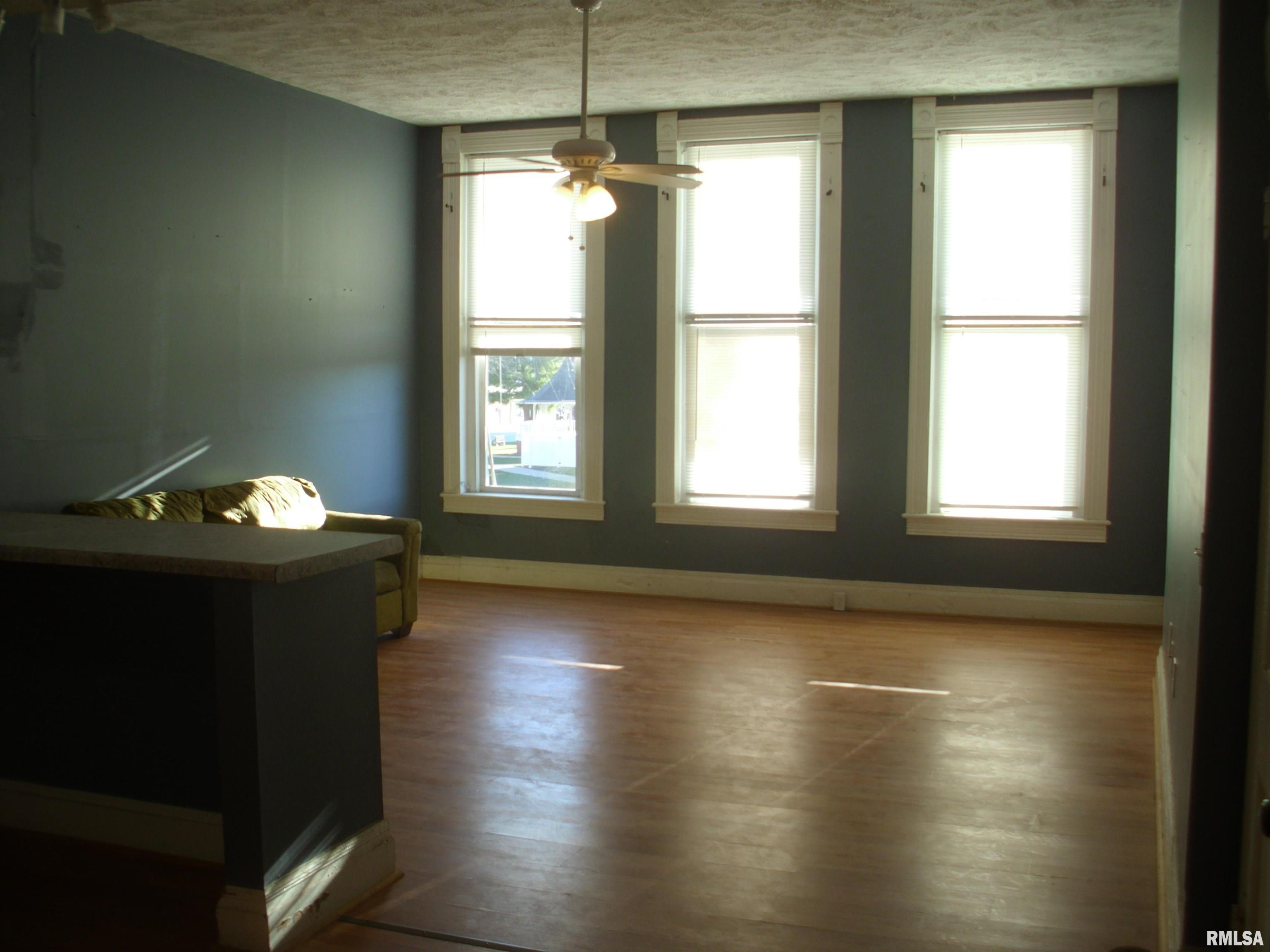 117 East Springfield Street Virginia, IL 62691 - Photo 6 of 39