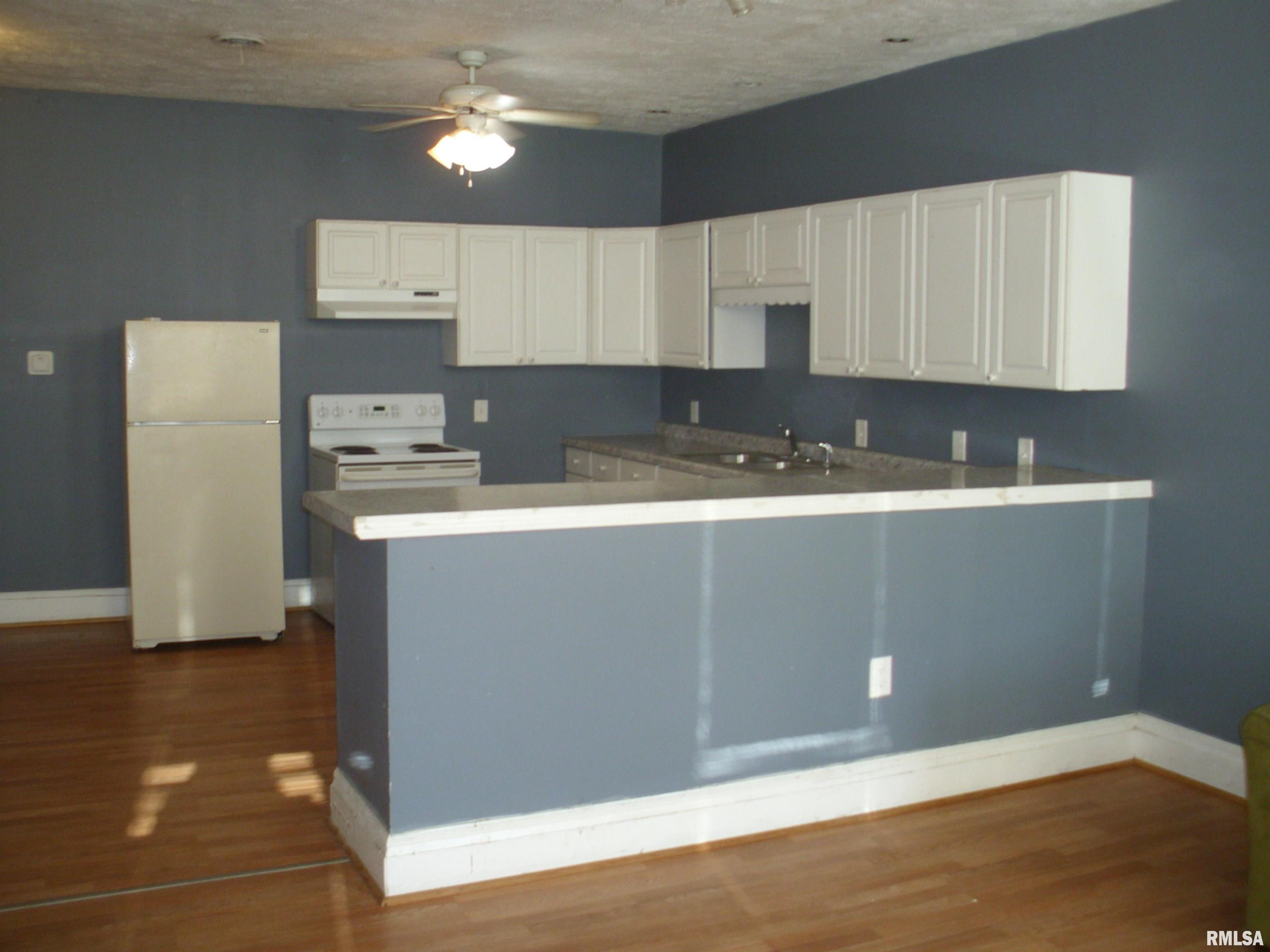117 East Springfield Street Virginia, IL 62691 - Photo 7 of 39