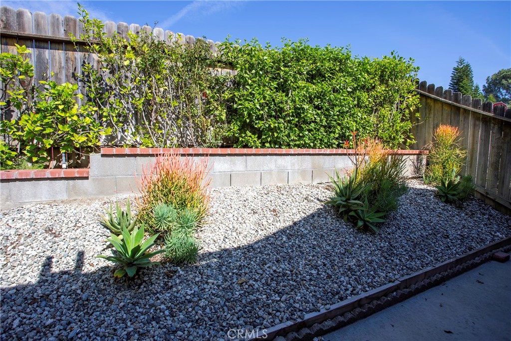 1085 Tamarack Avenue Brea, CA 92821 - Photo 26 of 28 a view of a garden with a tree