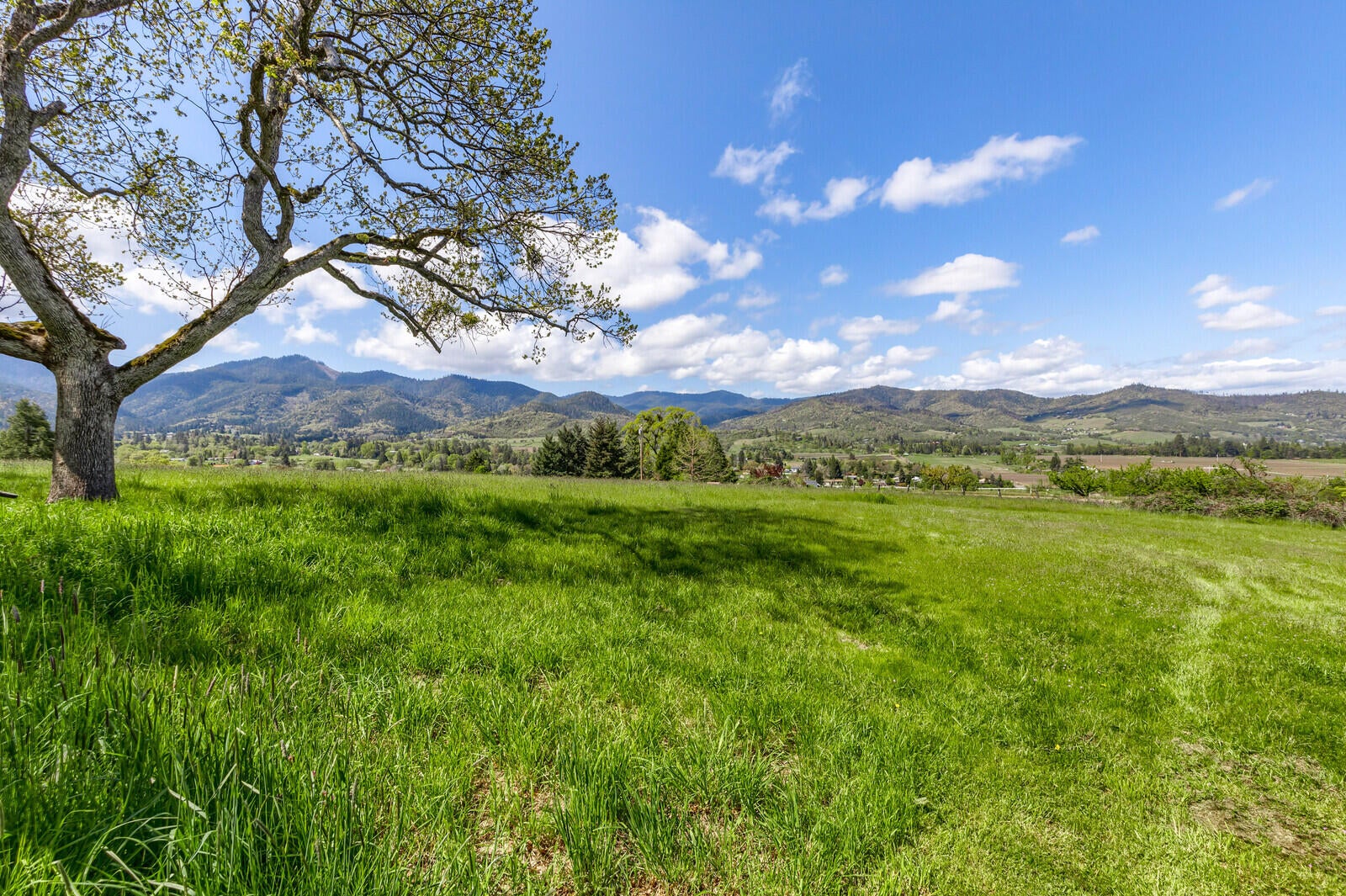 7562 Rapp Lane Talent, OR 97540 - Photo 11 of 40 18_RL_18_mls