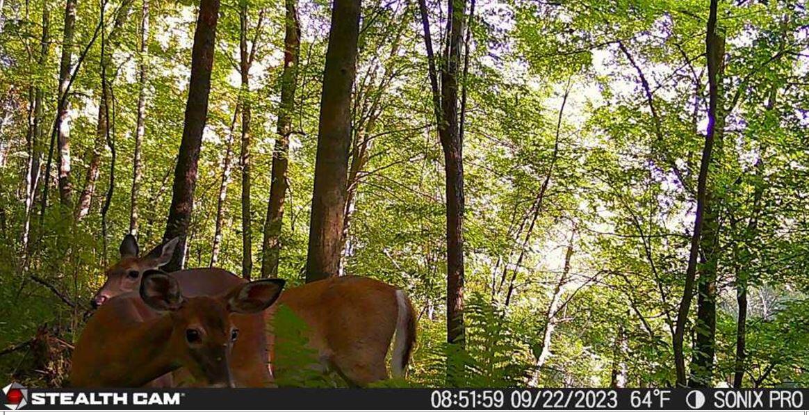7562 Baseline Road Battle Creek, MI 49017 - Photo 34 of 40 Marty 1