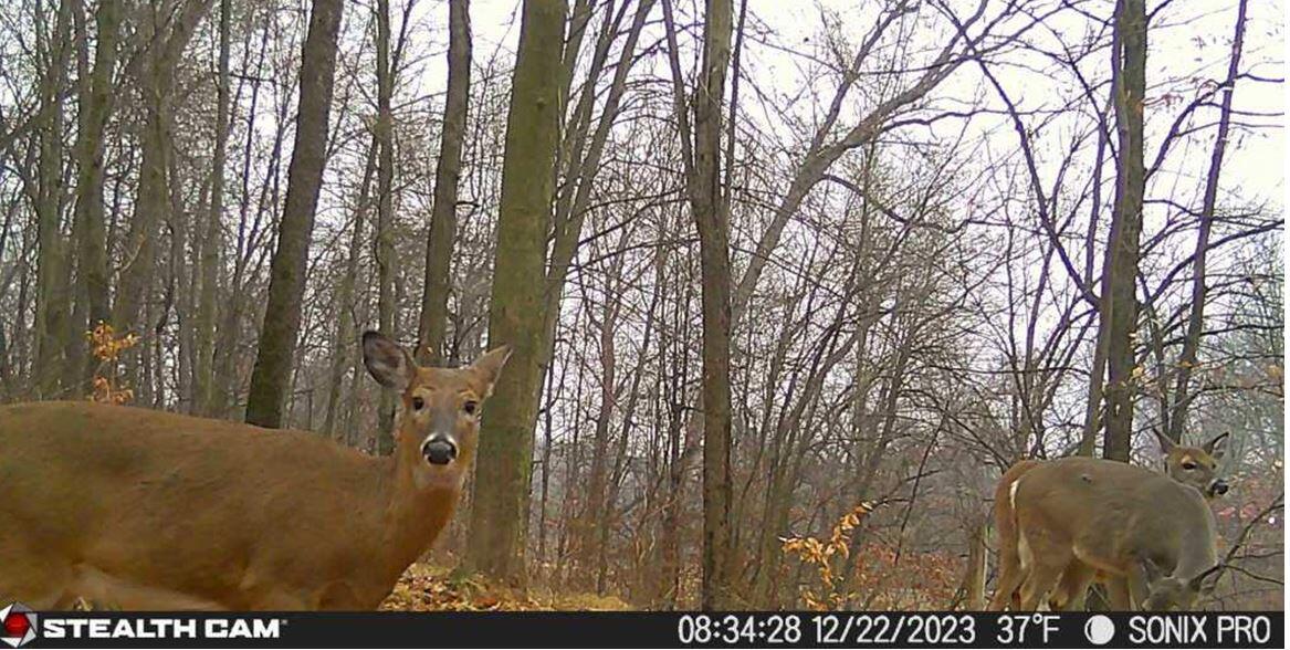 7562 Baseline Road Battle Creek, MI 49017 - Photo 35 of 40 Marty 5