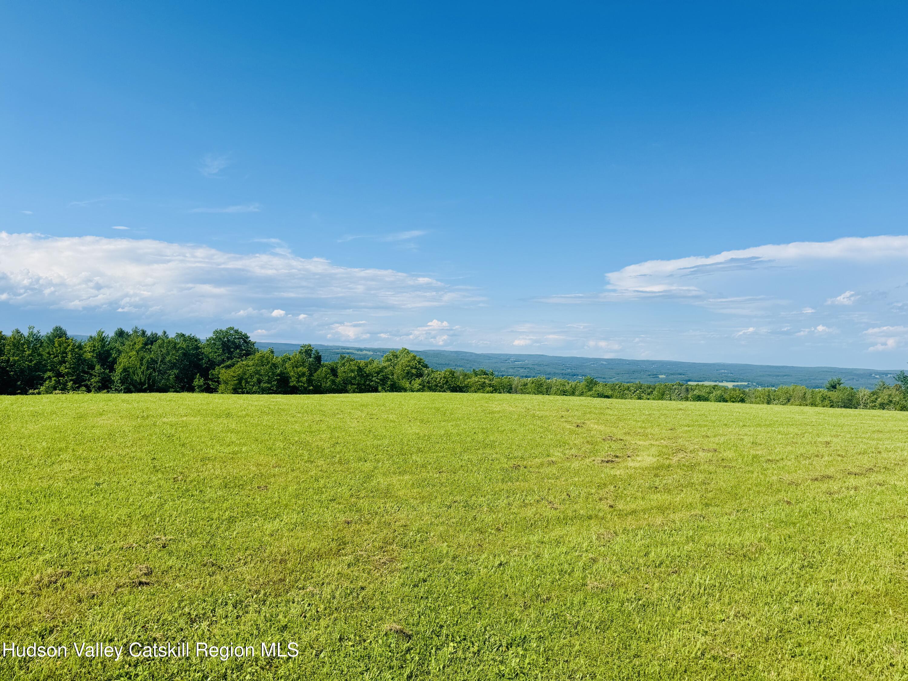 183 Pratt Road Cornwallville, NY 12418 - Photo 2 of 9 a view of an ocean and a mountain view