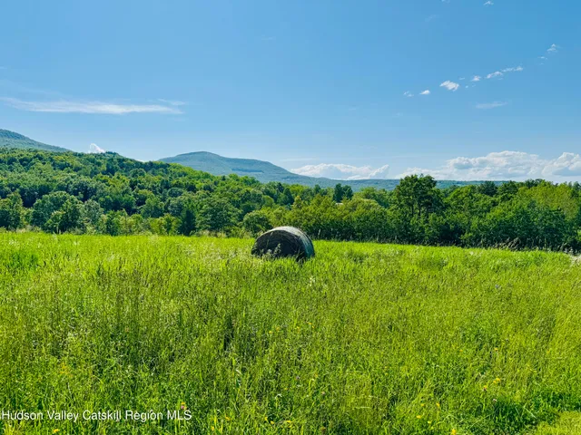 a view of a garden with a building in the background