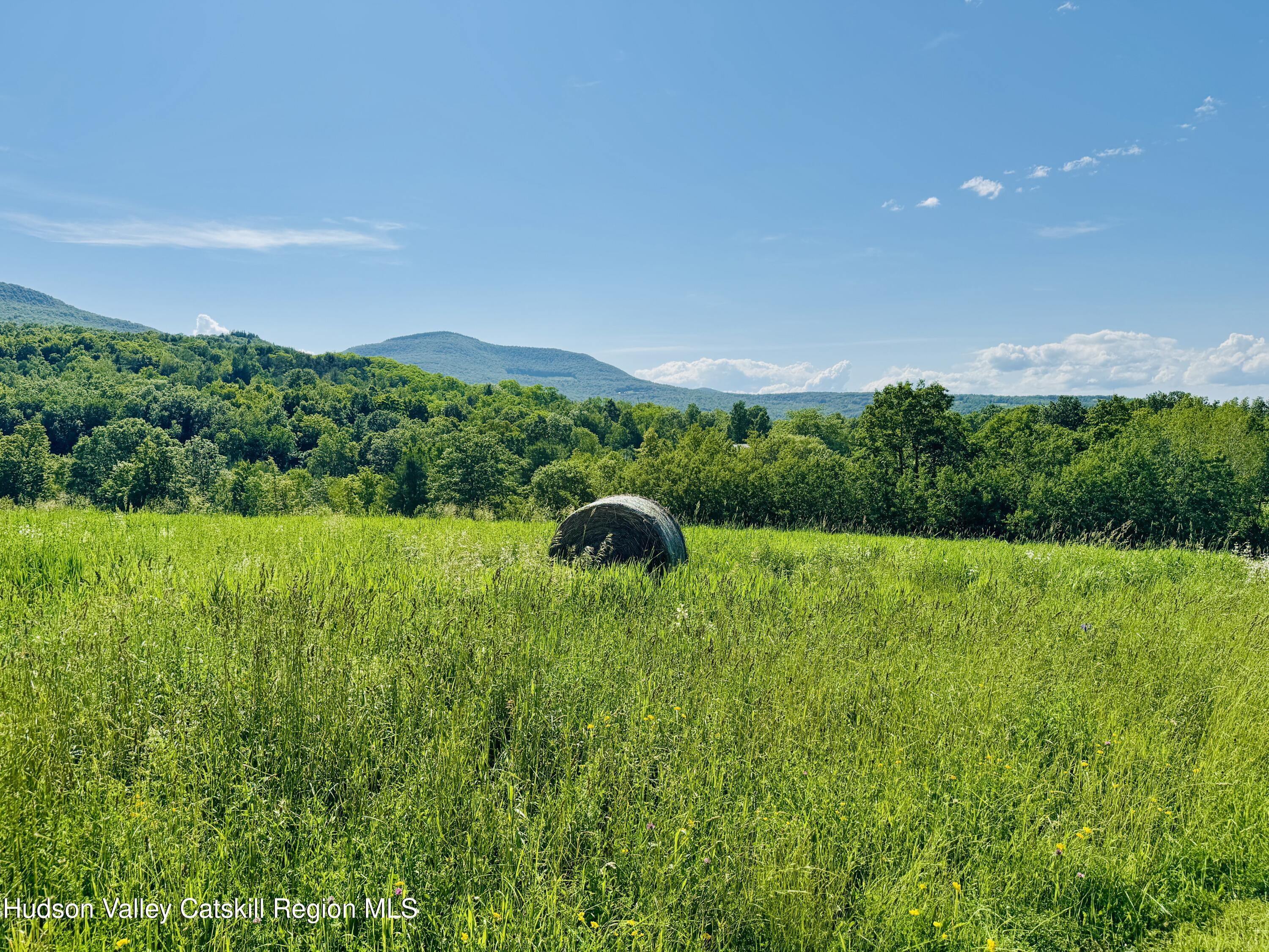 183 Pratt Road Cornwallville, NY 12418 - Photo 3 of 9 a view of a garden with a building in the background
