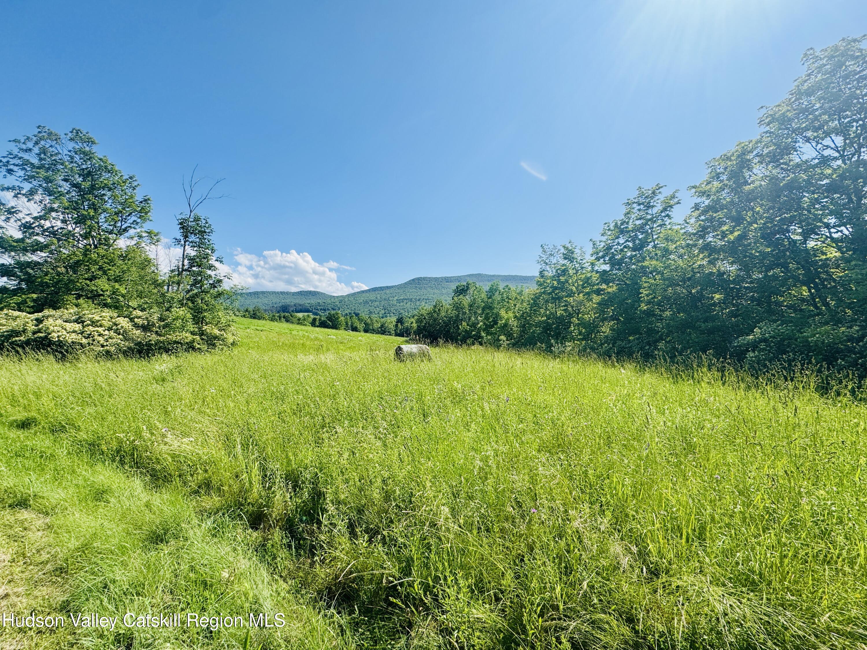 183 Pratt Road Cornwallville, NY 12418 - Photo 4 of 9 a view of yard with swimming pool and green space
