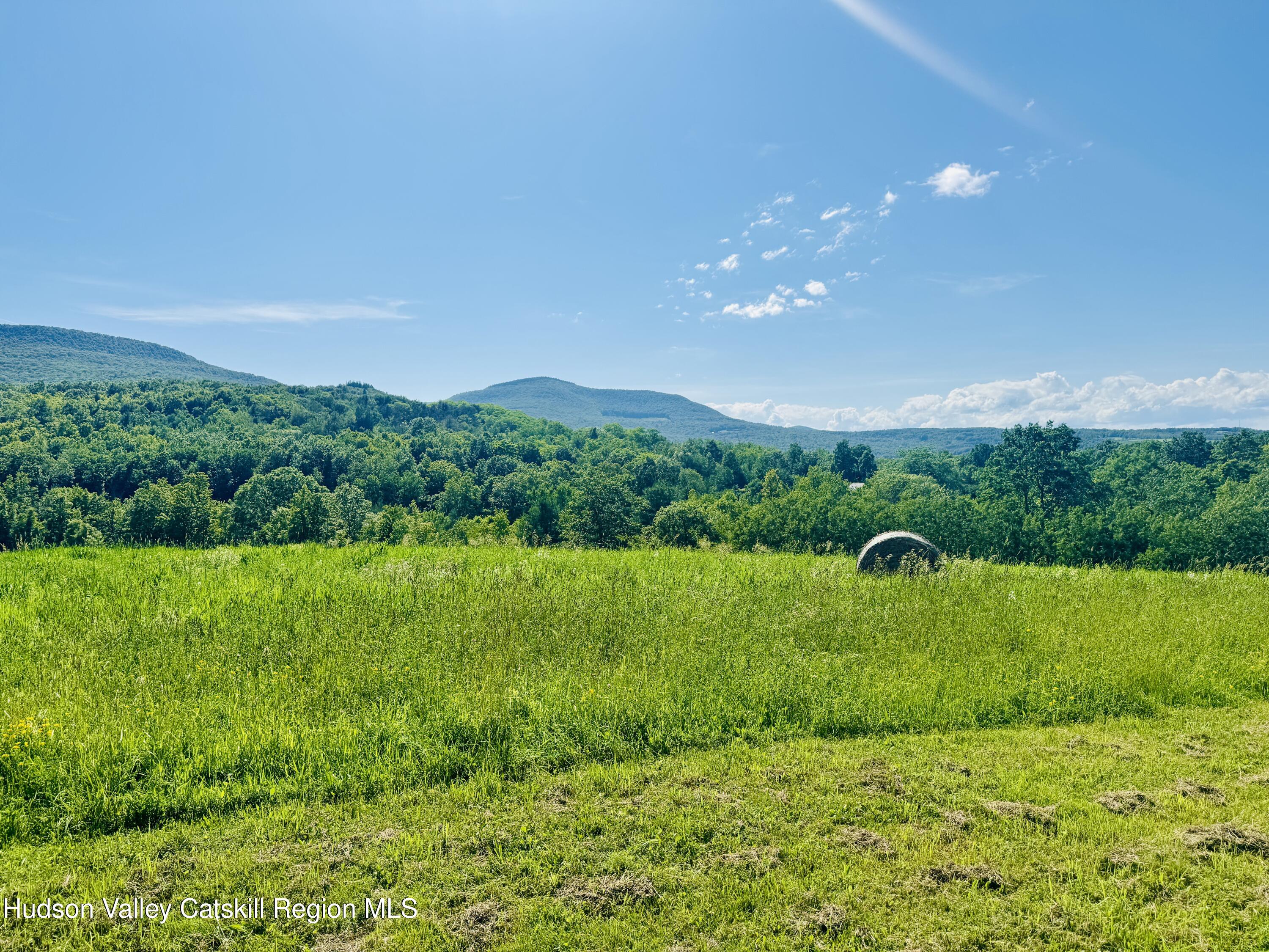 183 Pratt Road Cornwallville, NY 12418 - Photo 5 of 9 a view of an outdoor space and yard