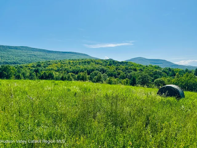 a view of a garden with a outdoor space