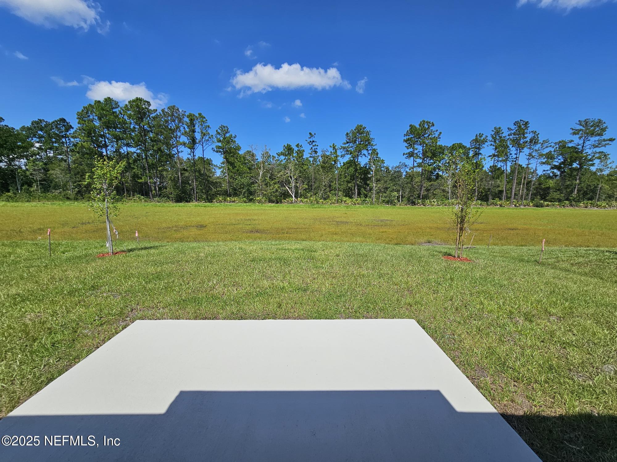 717 Orellana Road St. Augustine, FL 32084 - Photo 29 of 71 backyard