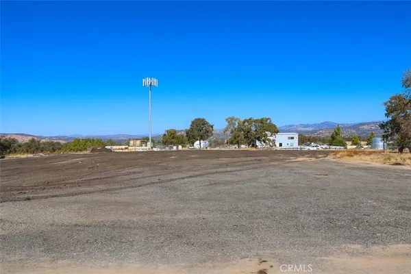 a view of a yard with a trees