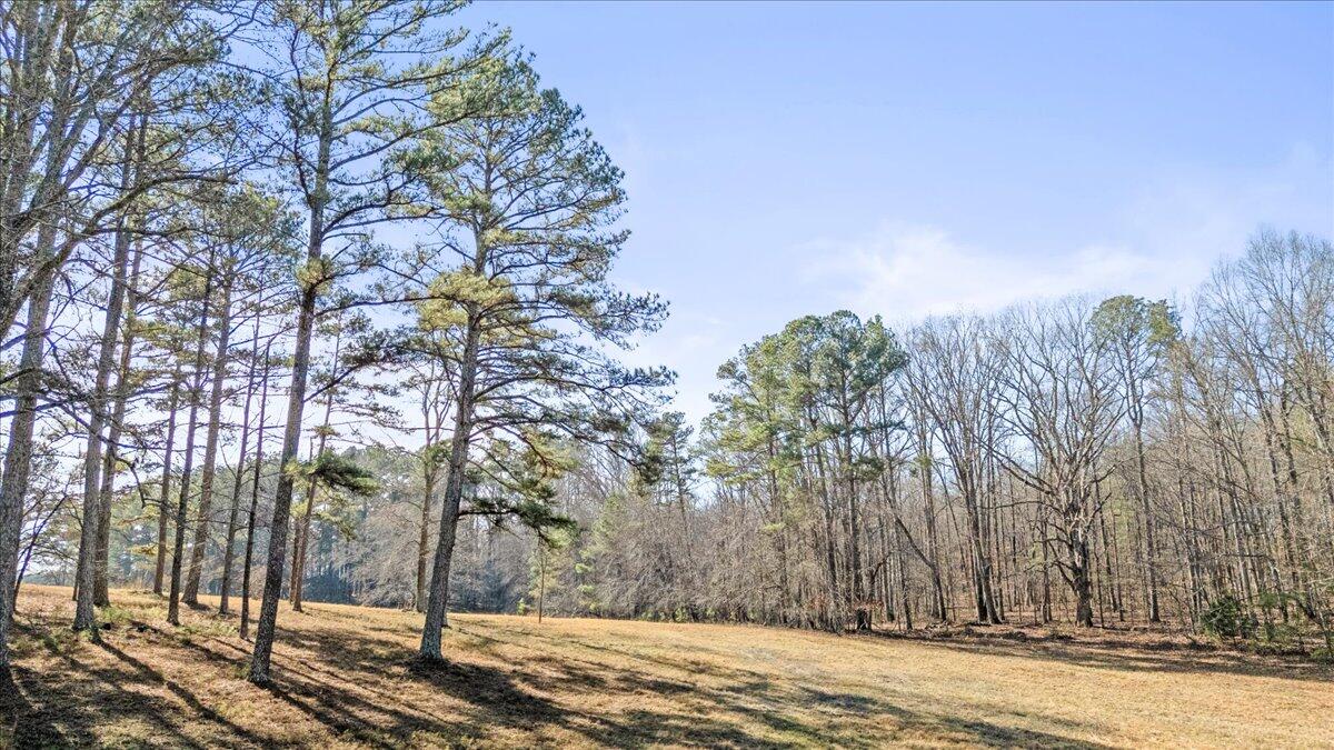 322 Cannon Road LaFayette, GA 30728 - Photo 12 of 78 61-DJI_20260105120015_0378_D