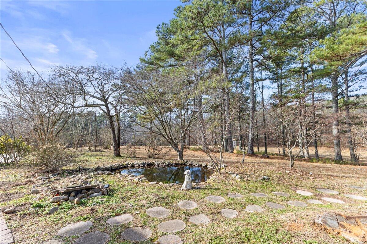 322 Cannon Road LaFayette, GA 30728 - Photo 19 of 78 11-IMG_7590