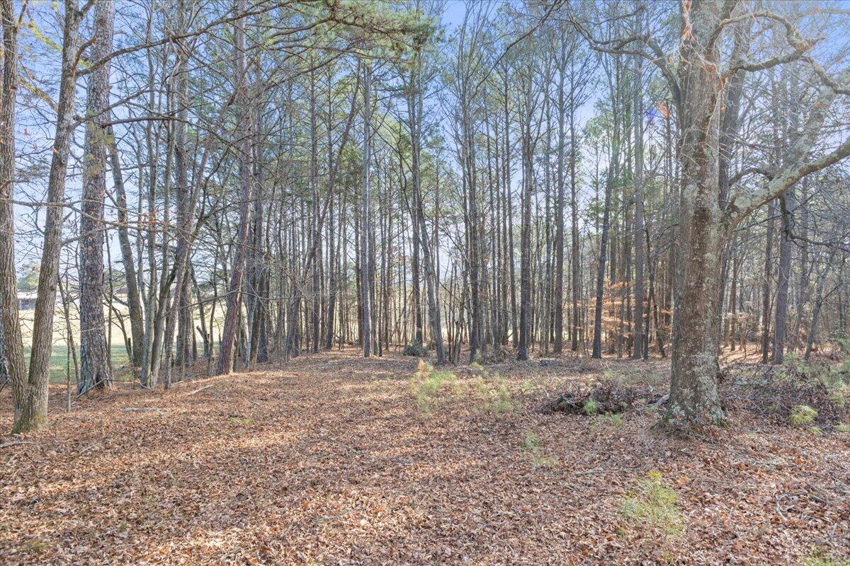 322 Cannon Road LaFayette, GA 30728 - Photo 63 of 78 69-IMG_7509