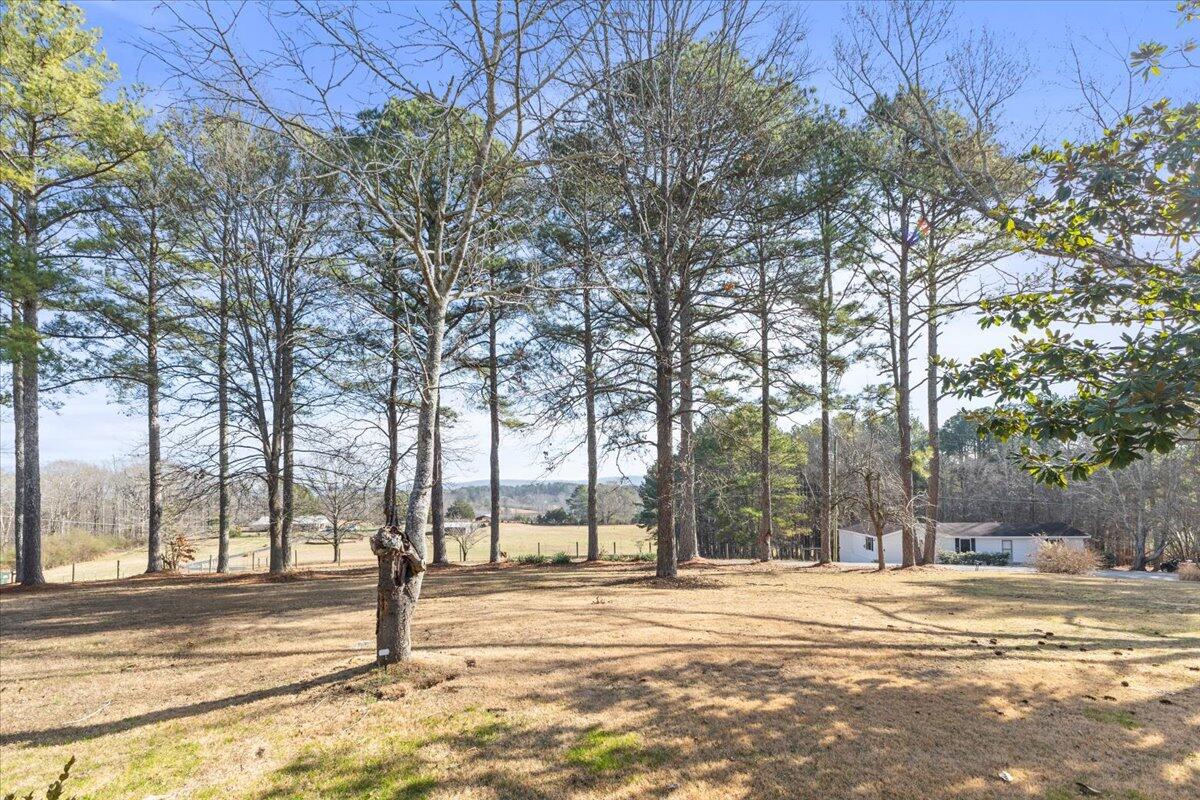 322 Cannon Road LaFayette, GA 30728 - Photo 71 of 78 49-IMG_7686