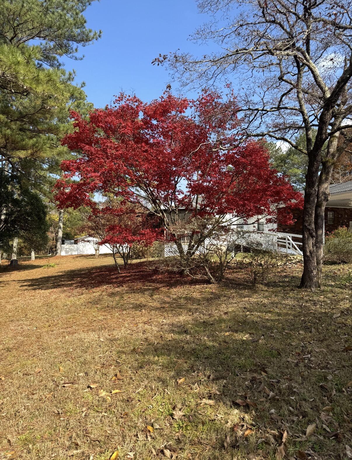 322 Cannon Road LaFayette, GA 30728 - Photo 77 of 78 IMG_1202