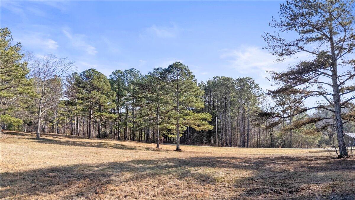 322 Cannon Road LaFayette, GA 30728 - Photo 8 of 78 59-DJI_20260105115851_0373_D