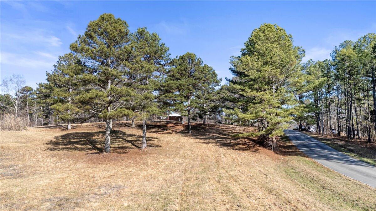 322 Cannon Road LaFayette, GA 30728 - Photo 10 of 78 57-DJI_20260105115811_0369_D