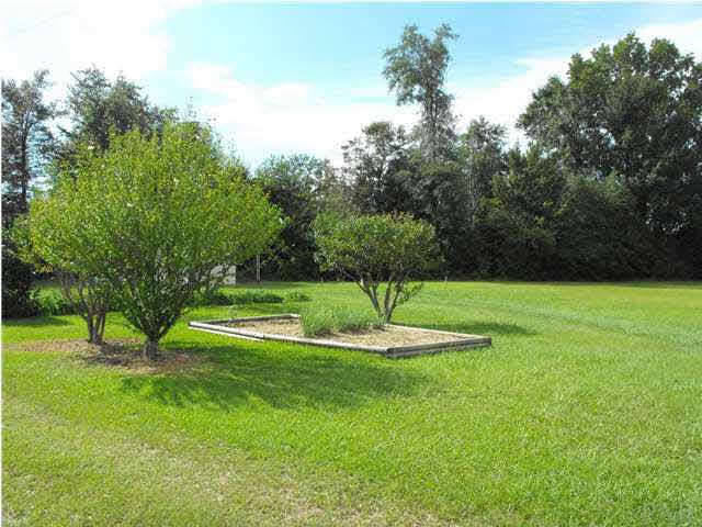 5121 Still Road Century, FL 32535 - Photo 12 of 16 Plenty of trees