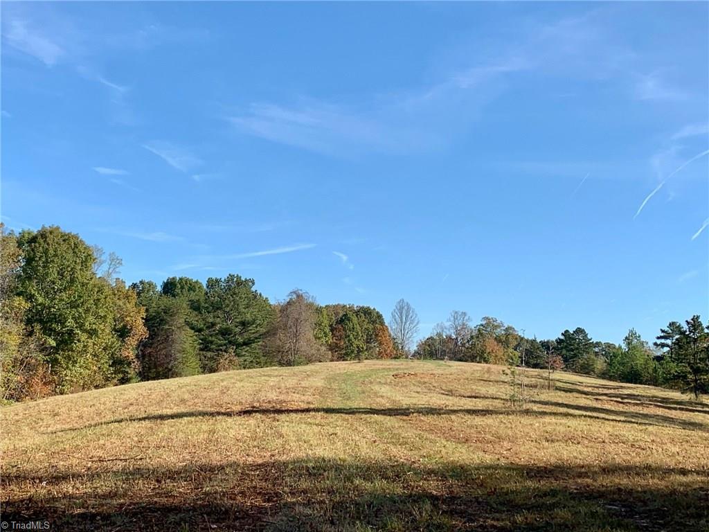 1450 Bolejack Road Germanton, NC 27019 - Photo 1 of 19