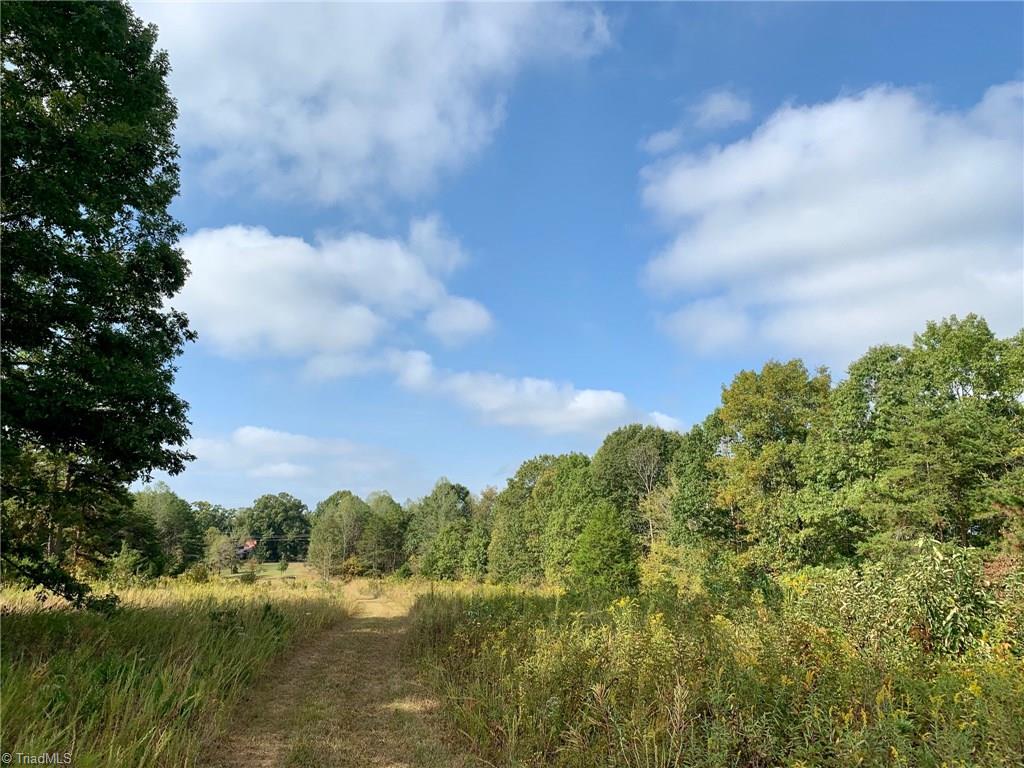1450 Bolejack Road Germanton, NC 27019 - Photo 3 of 19