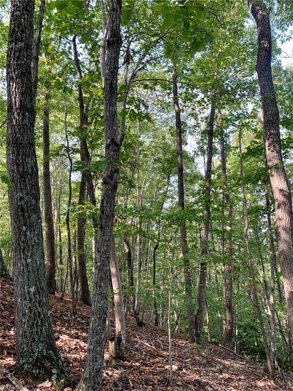1450 Bolejack Road Germanton, NC 27019 - Photo 4 of 19