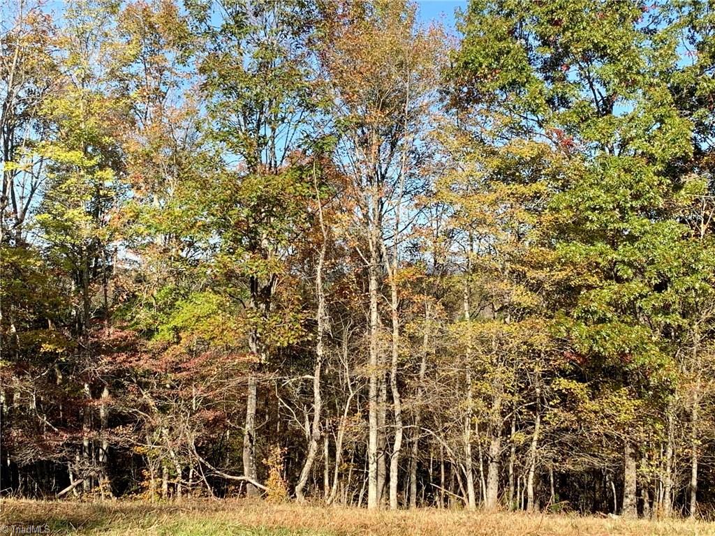 1450 Bolejack Road Germanton, NC 27019 - Photo 5 of 19