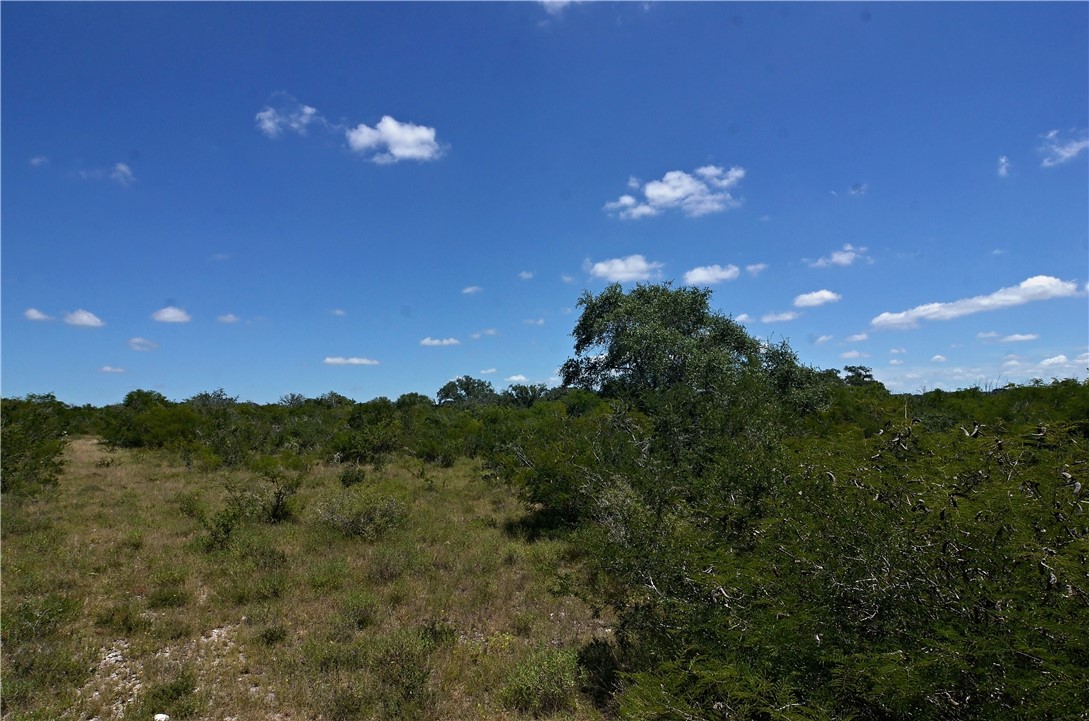 1641 Charco Road Beeville, TX 78102 - Photo 14 of 27