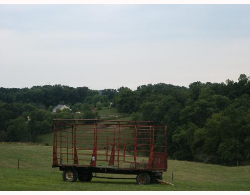 256 Zeigler Road Rochester, PA 15074 - Photo 4 of 7 View. View out Front Door