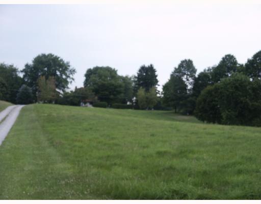 256 Zeigler Road Rochester, PA 15074 - Photo 5 of 7 Yard/Garden. Front Yard