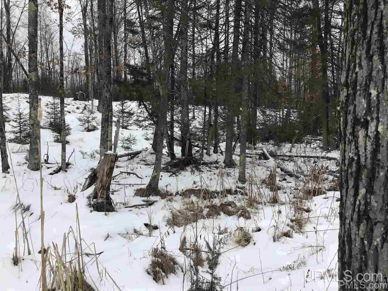 Tbd Swamp Road Powers, MI 49874 - Photo 5 of 30