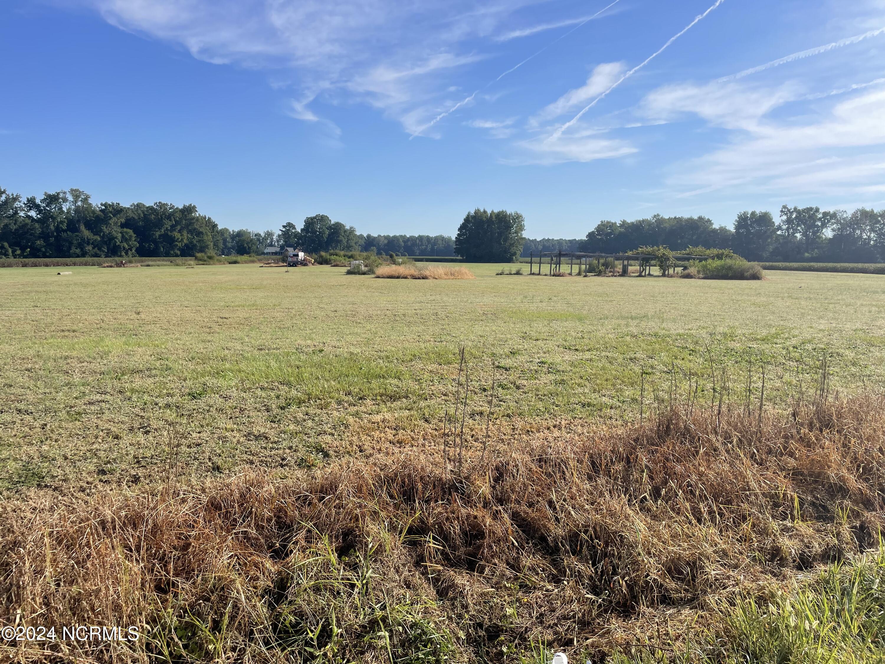 0 Summer Acre Road Tarboro, NC 27886 - Photo 1 of 1 IMG_3960
