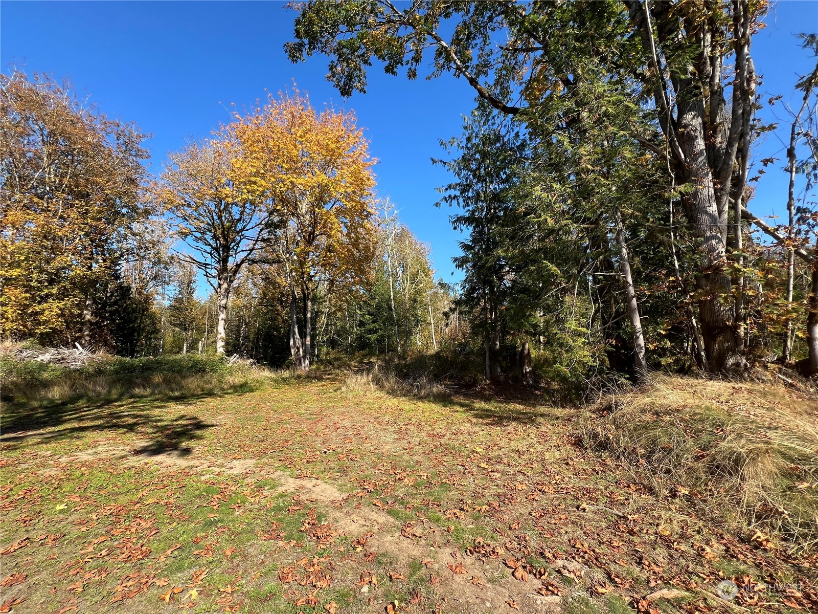 147 Tree Haven Road Quilcene, WA 98376 - Photo 8 of 17