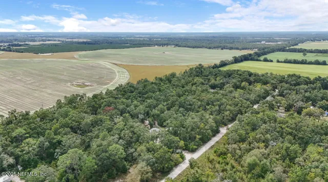 a view of a lake from a yard