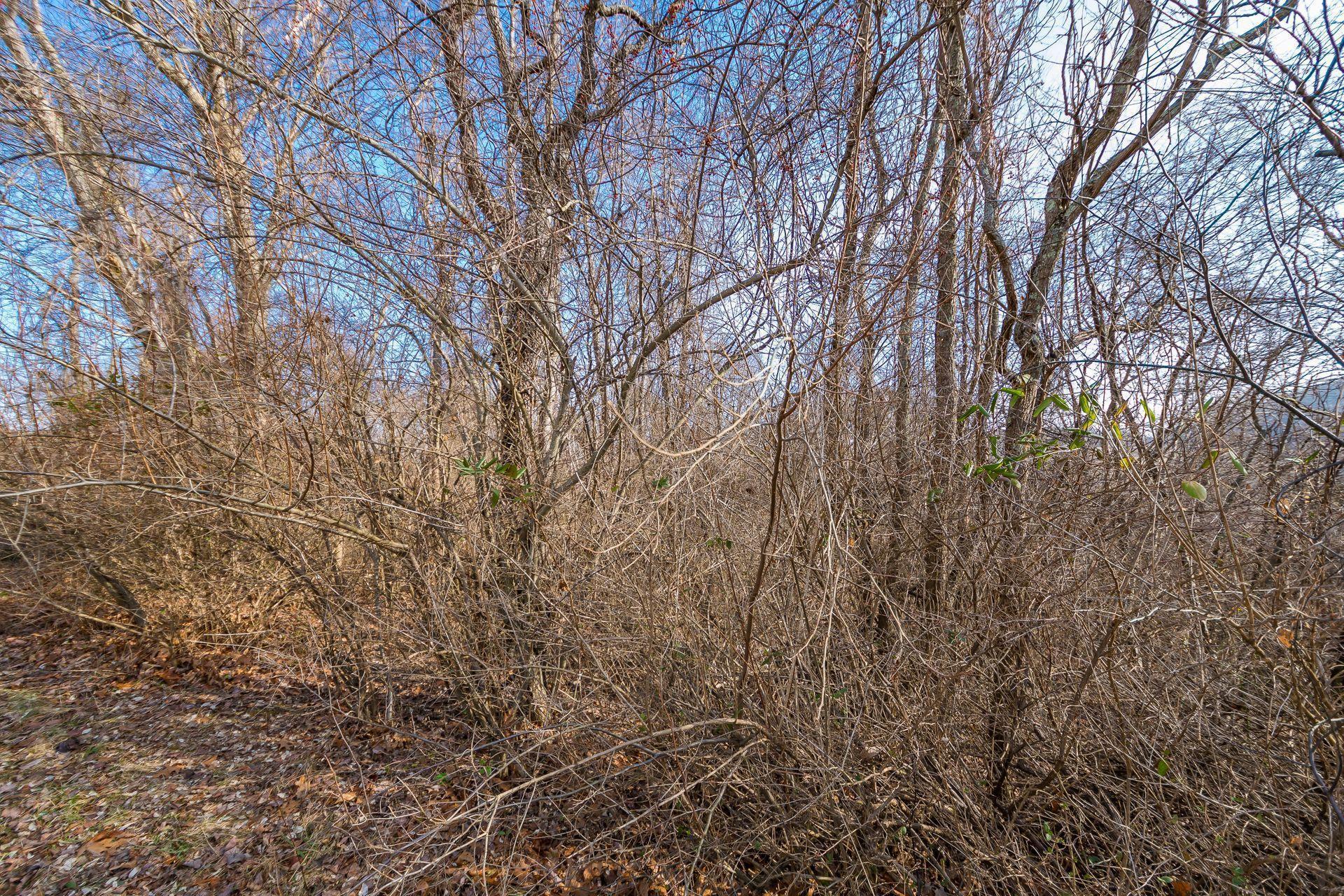 13049 Blue Jay Road Newark, OH 43056 - Photo 47 of 68