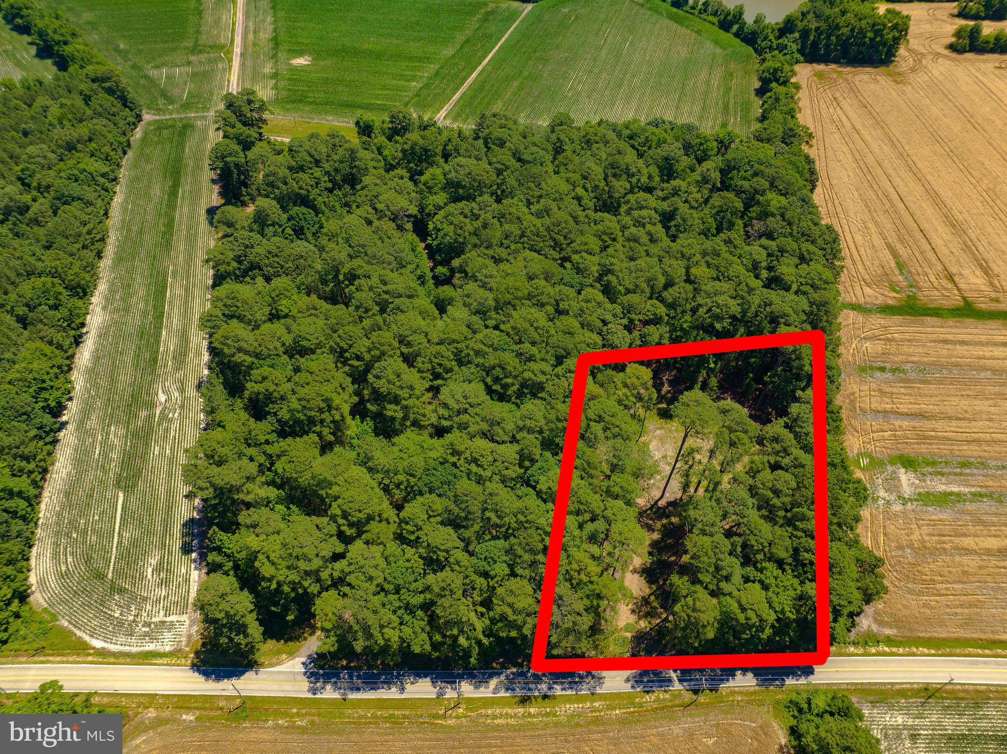 17328 St Jeromes Neck Road Dameron, MD 20628 - Photo 18 of 19