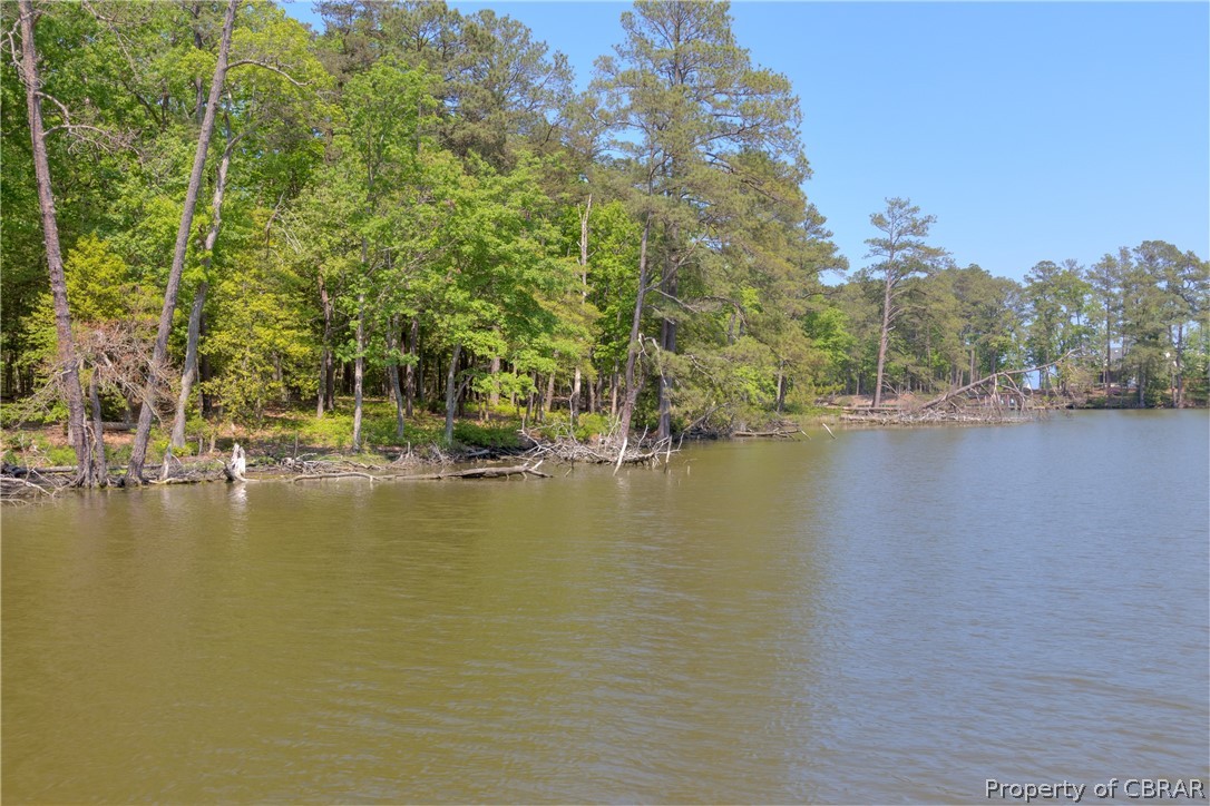 290 Baypointe Court Reedville, VA 22539 - Photo 3 of 48
