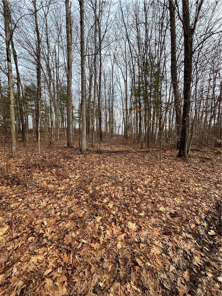 370 Ellis Creek Road Barton, NY 14892 - Photo 7 of 24