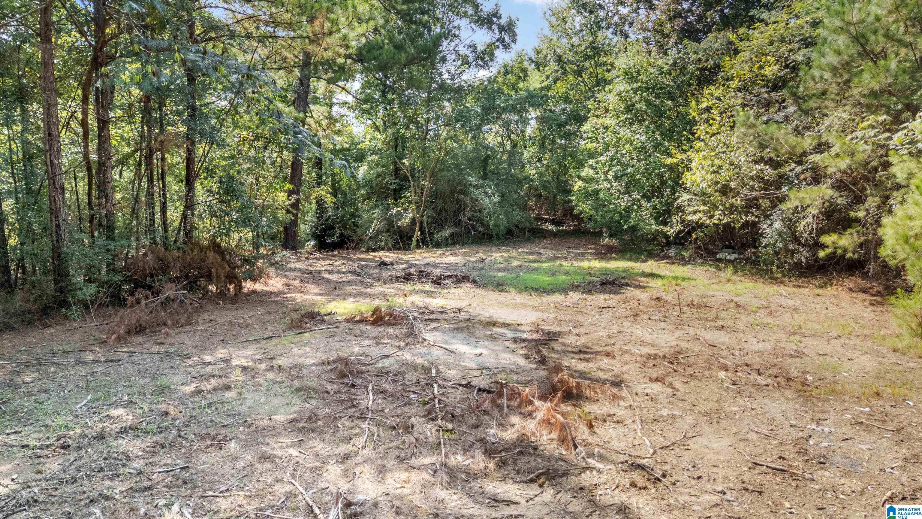 4339 Pine Ridge Road, Unit 1 Mount Olive, AL 35117 - Photo 26 of 34