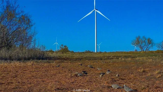 $497,227 | 380 Haskell Tx 79521, Haskell, TX 79521