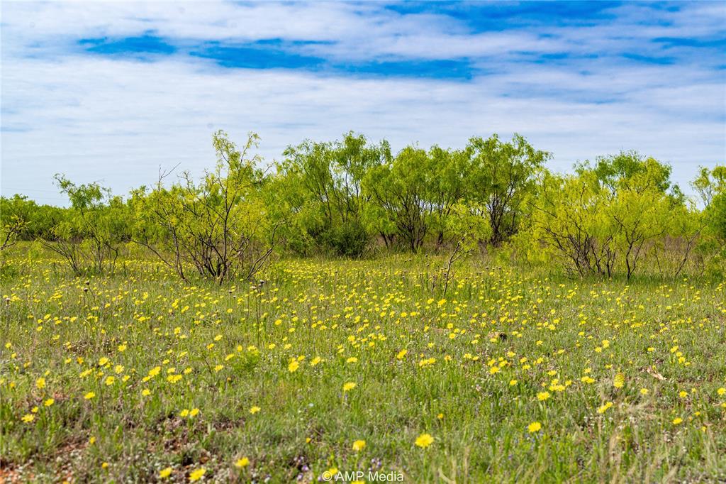 380 Haskell Tx 79521 Haskell, TX 79521 - Photo 13 of 40