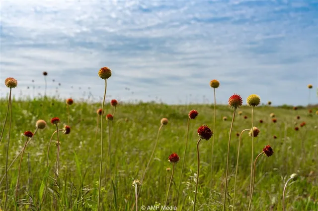 $497,227 | 380 Haskell Tx 79521, Haskell, TX 79521